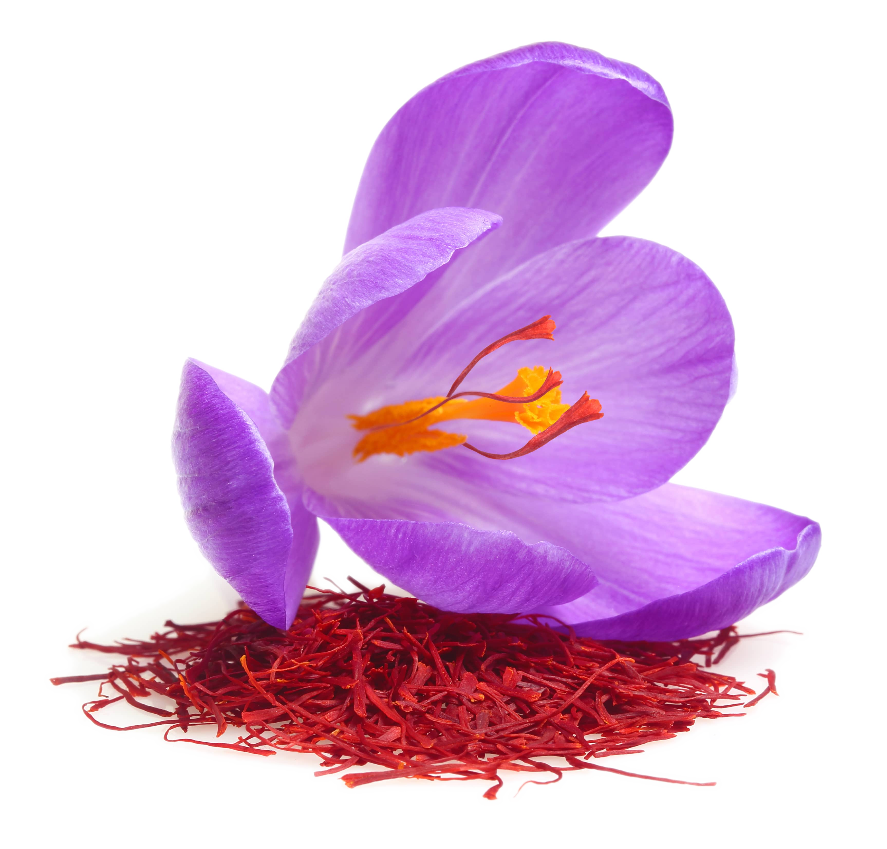 Saffron image